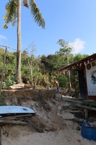 Balangan-Beach-Nusa-Dua-Bali-cows