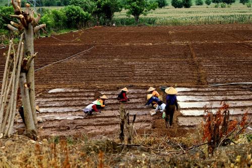 Route Sumbawa Besar - Kuta Lombok