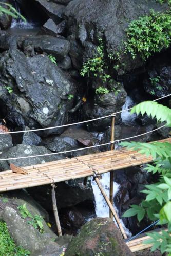 Jagasatru-Waterfall-bamboo-bridge