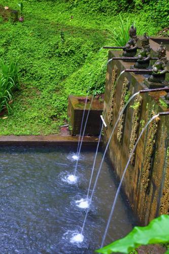 Jagasatru-Waterfall-ceremonial-bathing