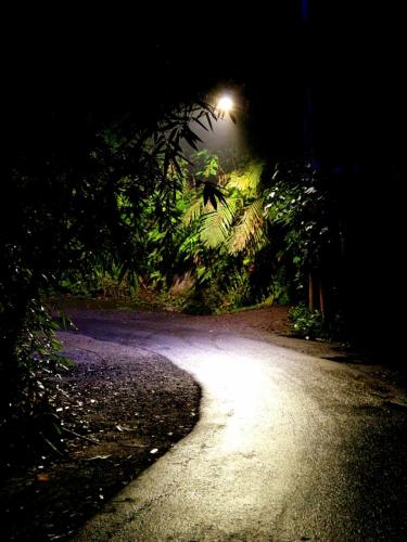 Jagasatru-Waterfall-road