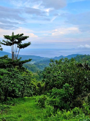 Jagasatru-Waterfall-view-from-the-road