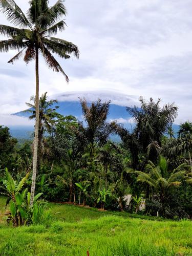 Padang-Bai-Selat-Agung-view (1)