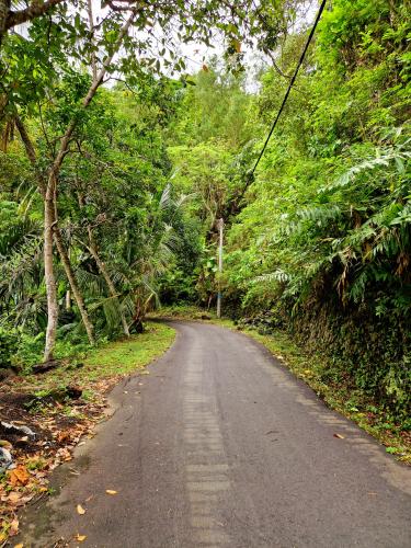 Padang-Bai-Selat-Road-2