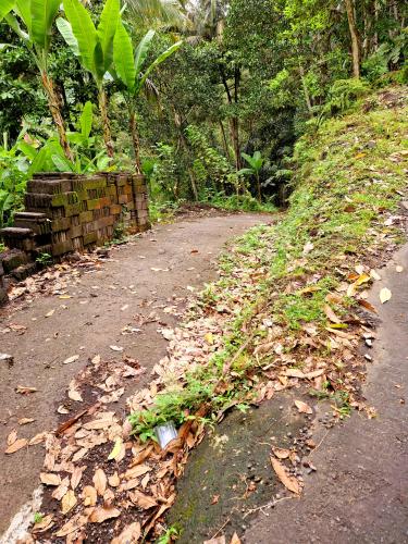 Padang-Bai-Selat-Road-to-the-house