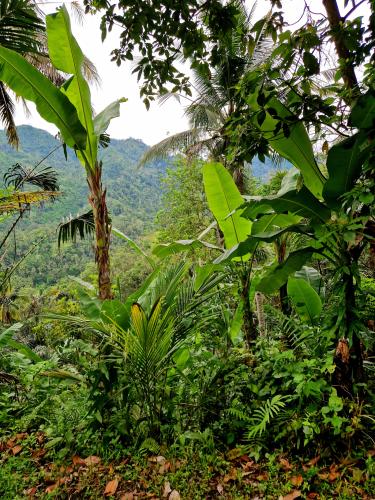 Padang-Bai-Selat-mountain-view-3