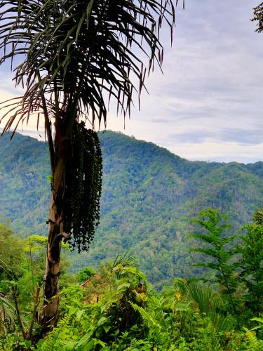 Padang Bai Selat mountain view