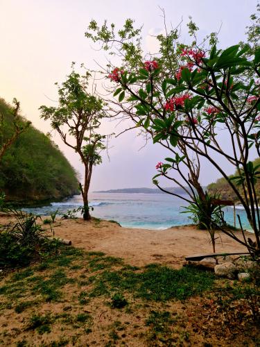Pandan-Beach-Nusa-Penida-entrance