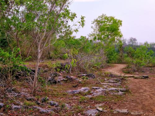 Pandan-Beach-Nusa-Penida-way-from-Crystal-Bay