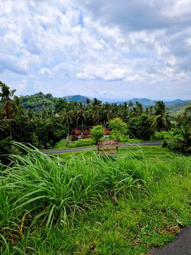 Sibetan-Manggis-rice-fields