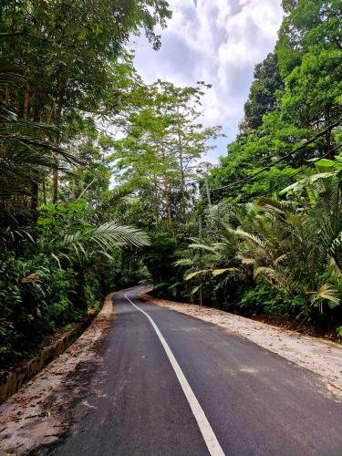 Sibetan-Manggis-road-from-Sibetan