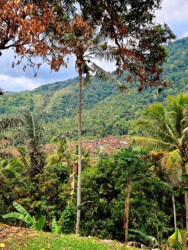 Sibetan-Manggis-village-between-the-mountains