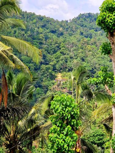 Sibetan-Manggis-waterfall-view