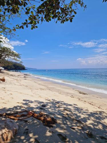 Virgin-Beach-Bali-under-the-tree